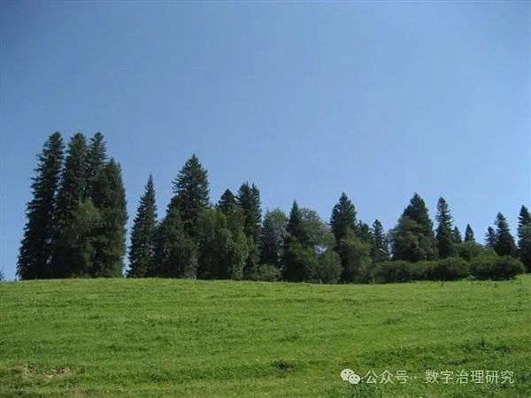 当狗狗币遇上减半行情：市场狂欢还是泡沫前兆？