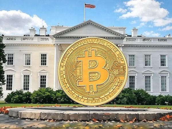 2000万美金加持！这家公司让你足不出户就能亲临婚礼现场