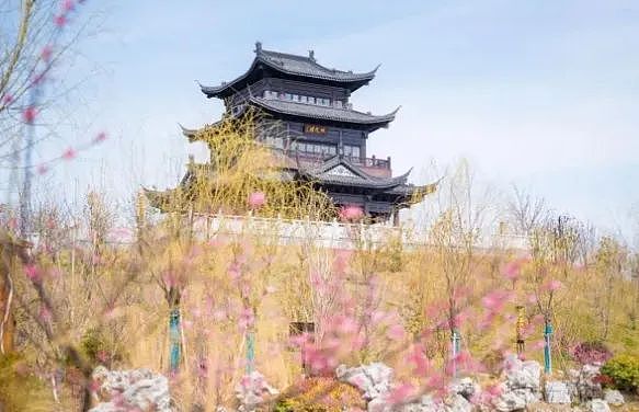 加密市场的惊涛骇浪：当美联储遇上比特币