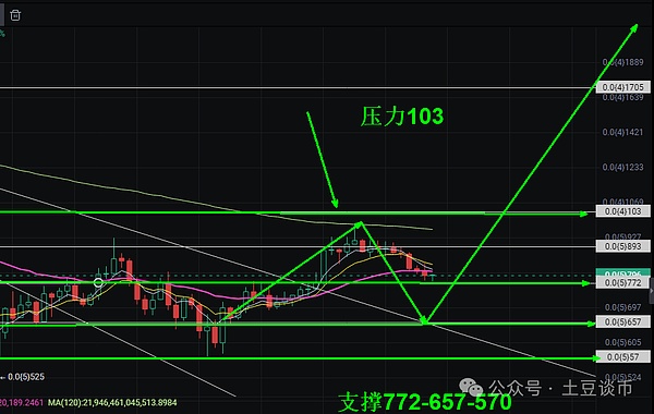 迈克菲遗孀的挣扎：一个未解之谜与生活的现实困境