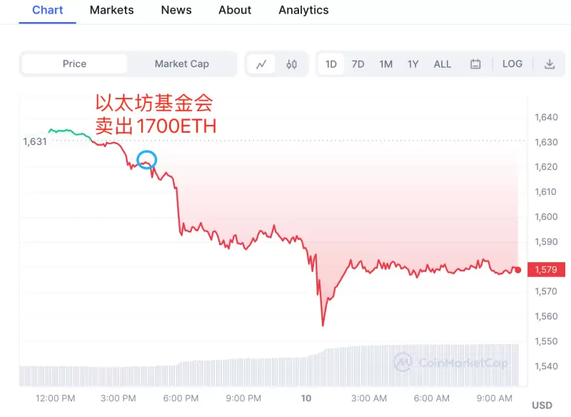 币安重返比利时市场：欧盟业务迎来转折点？
