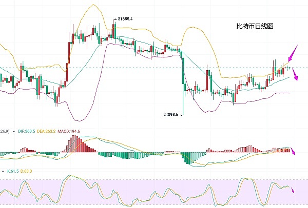 比特币：从边缘到主流的投资新宠