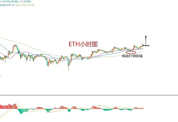 狗狗币蓄势待发：0.08美元会是下一个里程碑吗？