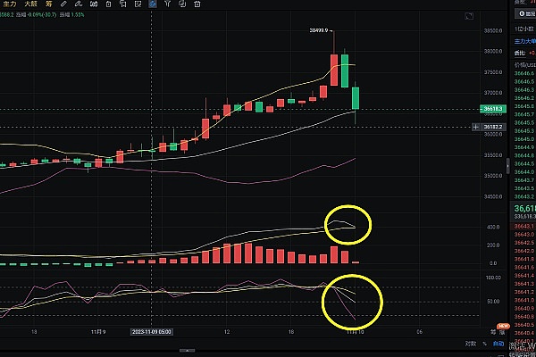 狗狗币要起飞了？大玩家们的秘密布局正在推动行情