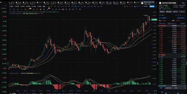 比特币的未来：数字黄金还是泡沫？专家预测2025年或达17万美元天价