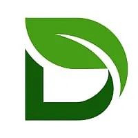 迪拜：中东加密世界的黄金之城