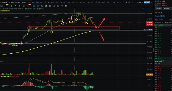 揭秘：中本聪对BitDNS的独到见解