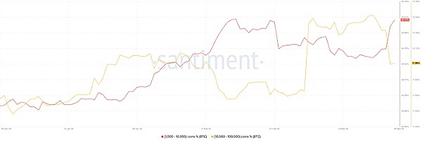 疯狂的币圈信号：这只青蛙币真的能预测比特币暴跌吗？