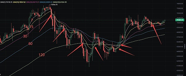 7枚白菜价加密货币：牛市中能否创造财富神话？