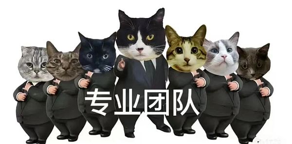 11月30日市场观察：行动派的财富密码
