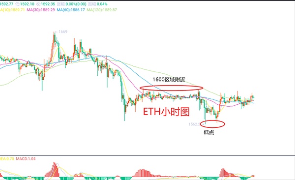 探索TON生态：从加密钱包到NFT市场的未来图景